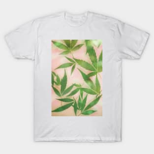 Dreamy Cannabis Marijuana Leaves T-Shirt